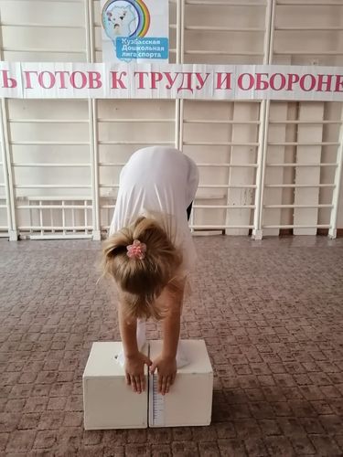 Без названия.png